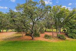 Picture of 36750 Us Highway 19 N Unit 20-213, Palm Harbor, FL 34684
