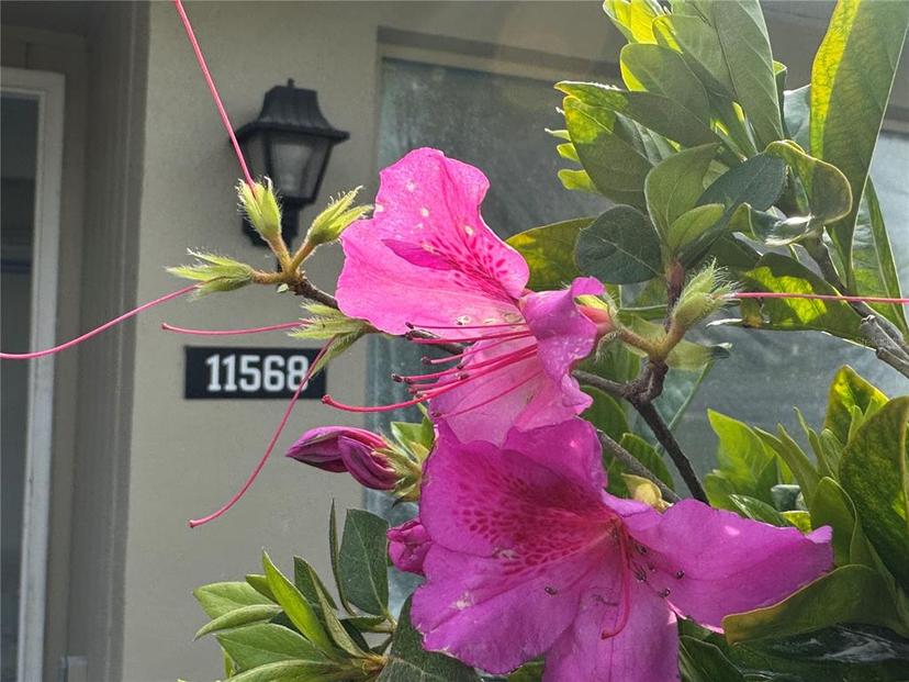 Picture of 11568 W Bayshore Drive Unit 17, Crystal River FL 34429