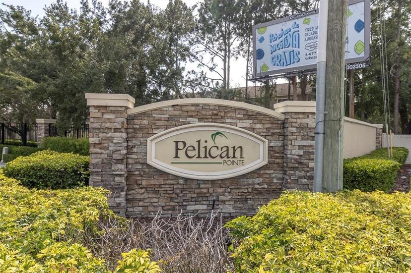 Picture of 6226 Anhinga Place, Tampa FL 33615