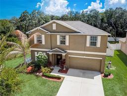 Picture of 12607 Flatwood Creek Drive, Gibsonton, FL 33534