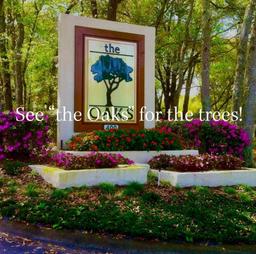 Picture of 503 Blue Ginger Lane, Deland, FL 32724