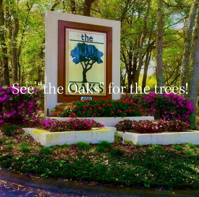 Picture of 503 Blue Ginger Lane, Deland FL 32724