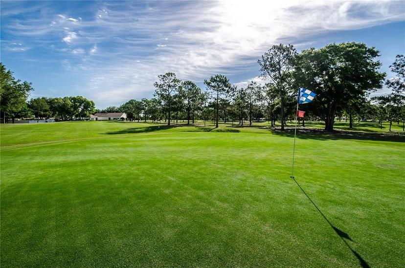 Picture of 3420 Stonehaven Court E Unit D, Palm Harbor FL 34684