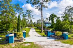 Picture of 4175 Saddle Club Drive, New Smyrna Beach, FL 32168
