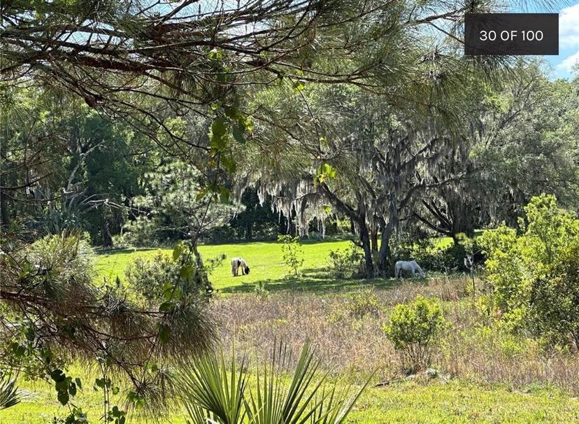 Picture of 18001 SE Hawthorne Road, Hawthorne FL 32640