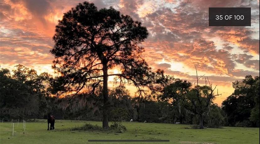 Picture of 18001 SE Hawthorne Road, Hawthorne FL 32640