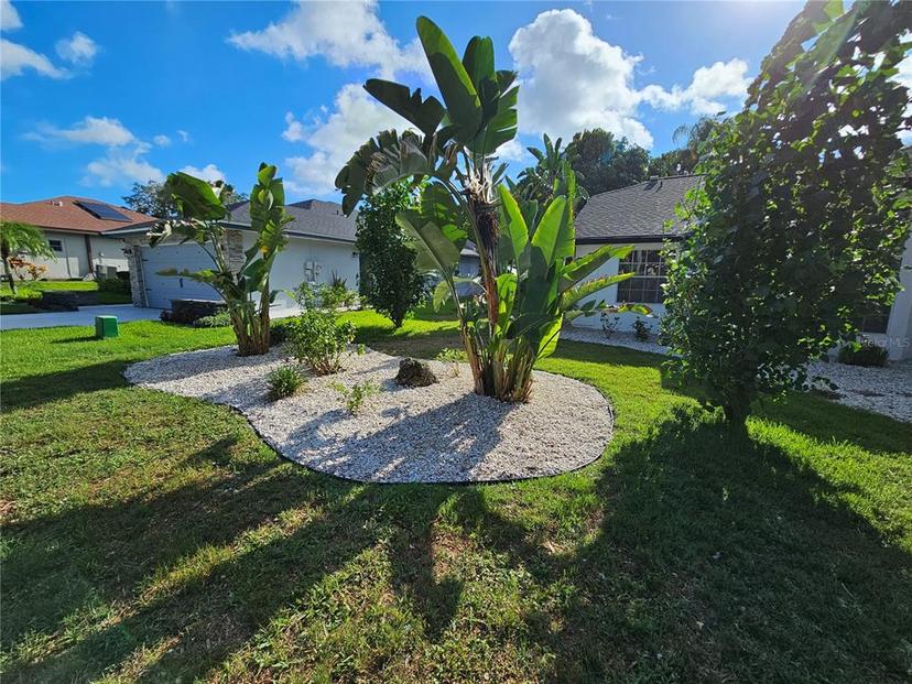 Picture of 1638 Polo Club Drive, Tarpon Springs FL 34689