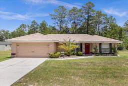 Picture of 33 Fisher Run Terrace, Ocklawaha, FL 32179