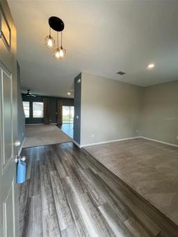 Picture of 462 Spotted Slipper Place, Ruskin, FL 33570