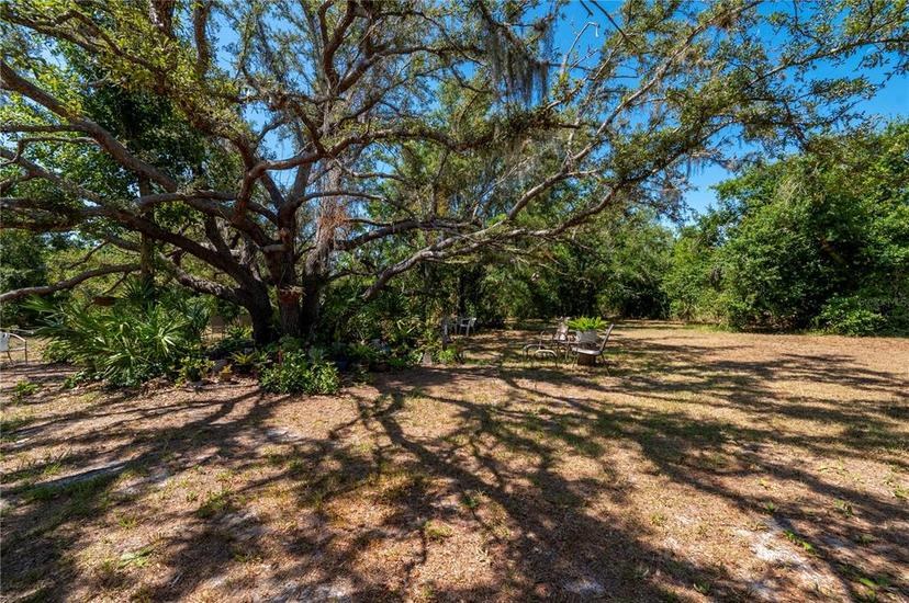 Picture of 8929 SW Liverpool Road, Arcadia FL 34269