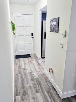 Picture of 13042 Leverington Street, Tampa, FL 33624