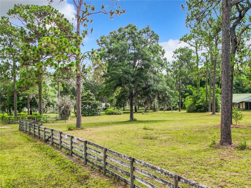 Picture of 3801 SW 86Th Terrace, Ocala FL 34481