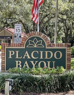 Picture of 379 Fan Palm Court Ne Unit 0, St Petersburg, FL 33703