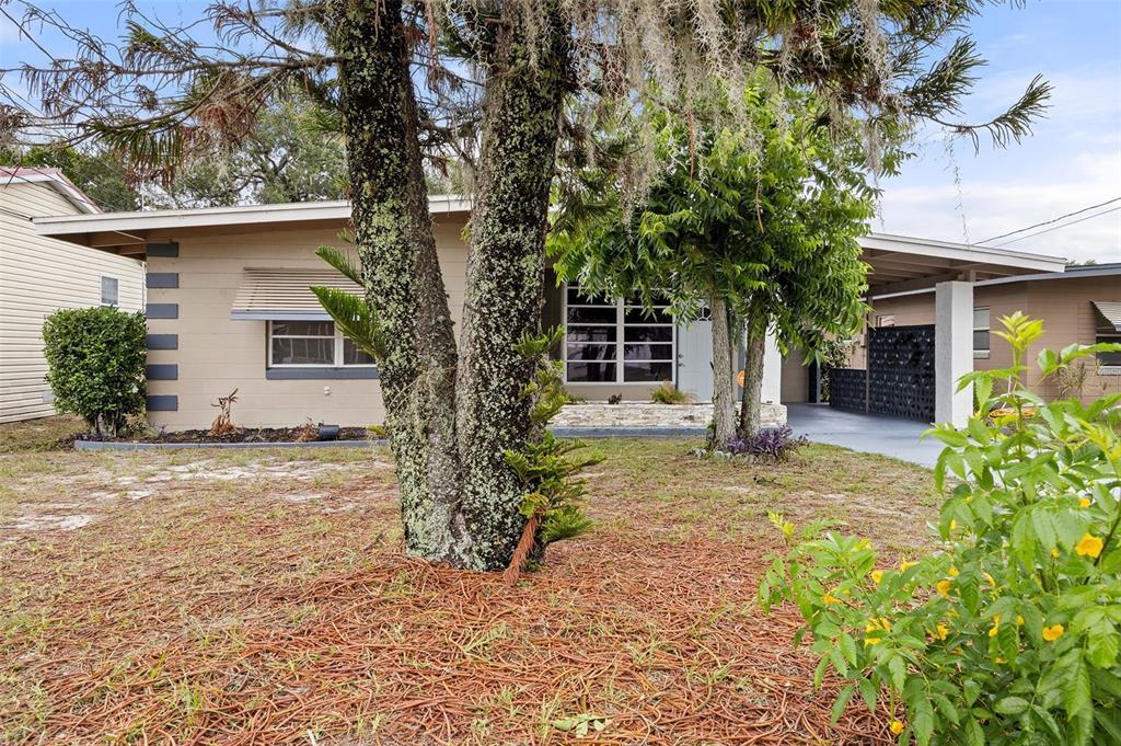 Picture of 1113 Oakland Circle, Tavares, FL 32778