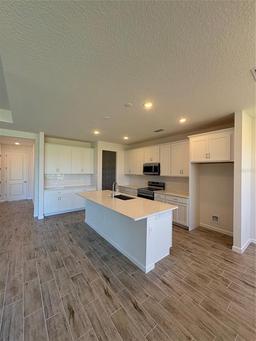 Picture of 9584 Vibrant Lane, Venice, FL 34292