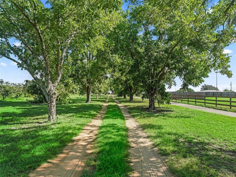 Picture of 16661 SE Highway 42, Weirsdale FL 32195