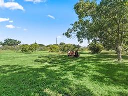 Picture of 16661 SE Highway 42, Weirsdale, FL 32195