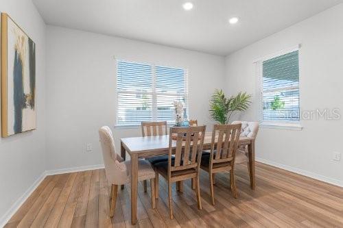 Picture of 10355 Parkview Reserve Lane, Orlando FL 32836