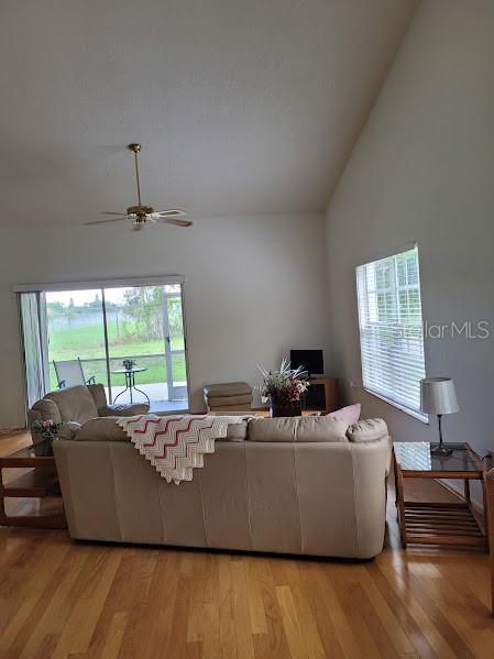 Picture of 2367 N Bentley Drive, Palm Harbor FL 34684