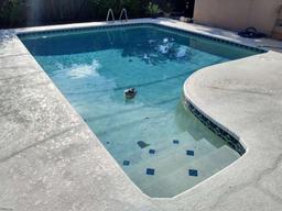 Picture of 14000 104Th Avenue, Largo, FL 33774