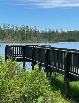 Picture of 14 Mulberry Road, Palm Coast, FL 32164