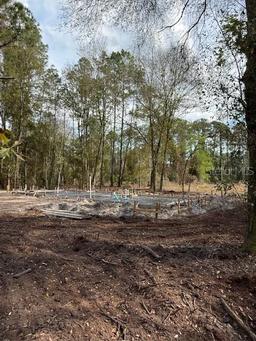 Picture of 225 Gardenia Avenue, Georgetown, FL 32139
