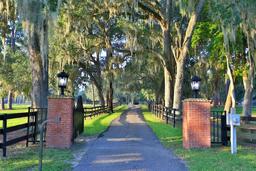 Picture of 15964 W Hwy 318, Williston, FL 32696
