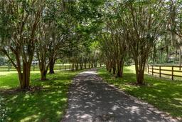 Picture of 12500 NW 100Th Street, Ocala, FL 34482