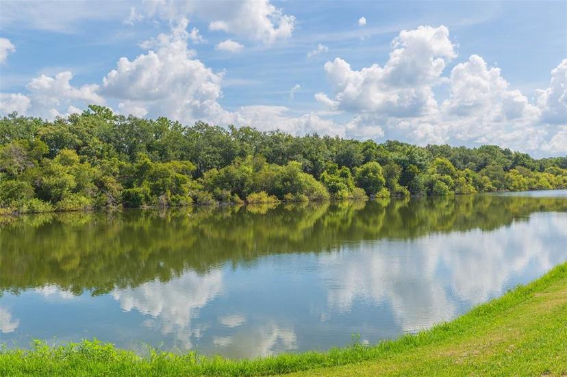 Picture of 7113 Forest Mere Drive, Riverview FL 33578