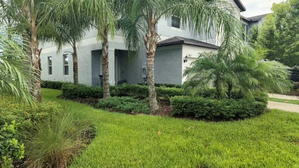 Picture of 7643 Ginger Lily Court, Tampa, FL 33619