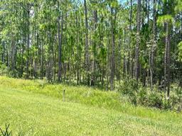 Picture of 124 Cerise Court, Daytona Beach, FL 32124