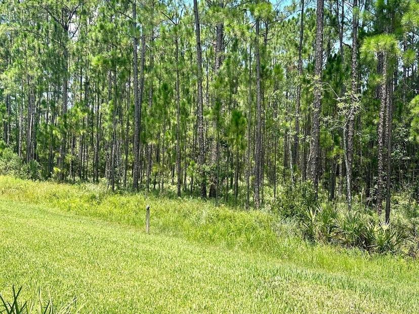 Picture of 124 Cerise Court, Daytona Beach FL 32124