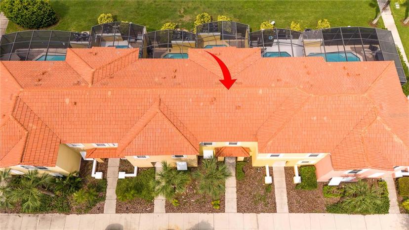 Picture of 3004 White Orchid Road, Kissimmee FL 34747