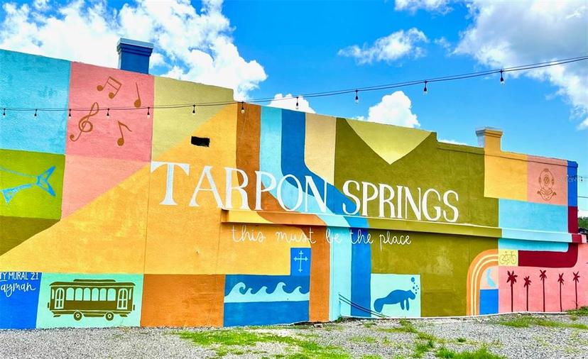 Picture of 644 Bayshore Drive, Tarpon Springs FL 34689