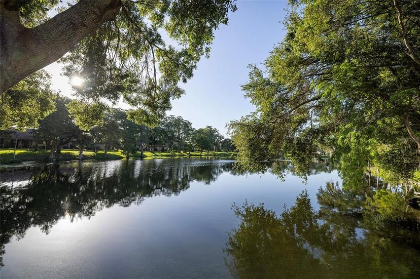 Picture of 2585 Bay Berry Drive Unit 43D, Clearwater FL 33763