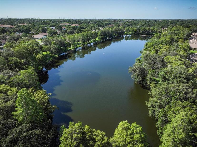 Picture of 2585 Bay Berry Drive Unit 43D, Clearwater FL 33763