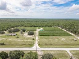 Picture of 5728 W Dunklin Street, Dunnellon, FL 34433
