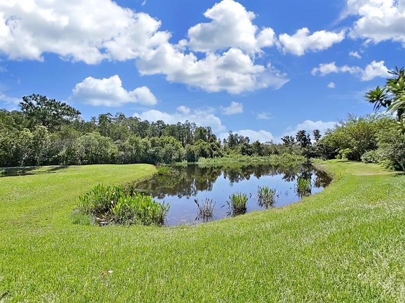 Picture of 19334 Autumn Woods Avenue, Tampa FL 33647