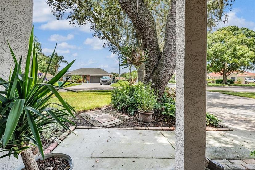 Picture of 6536 Northlake Drive, Zephyrhills FL 33542