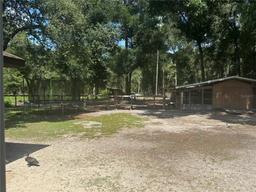 Picture of 10566 Cr 671, Bushnell, FL 33513