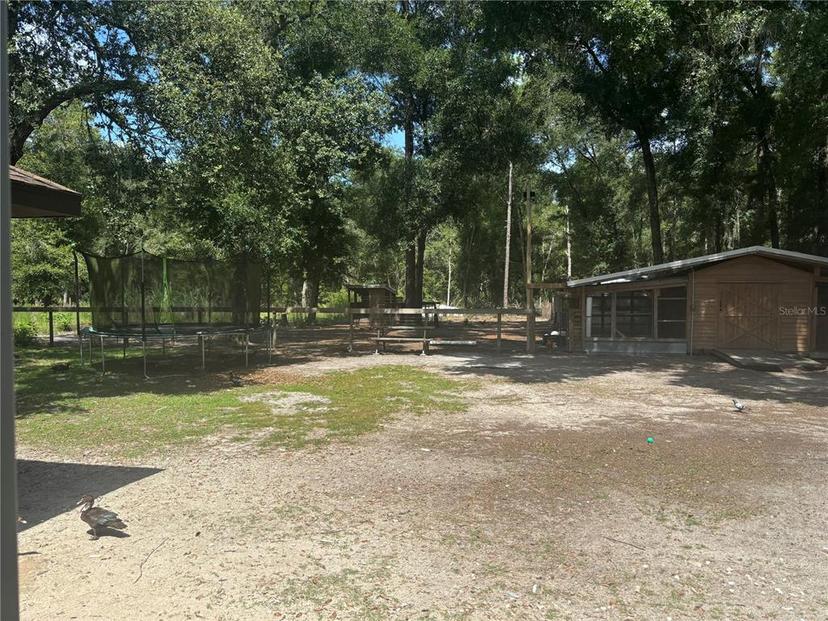 Picture of 10566 Cr 671, Bushnell FL 33513
