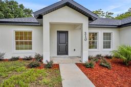Picture of 210 E Baxter Street, De Leon Springs, FL 32130