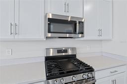Picture of 5943 Jensen View Avenue, Apollo Beach, FL 33572