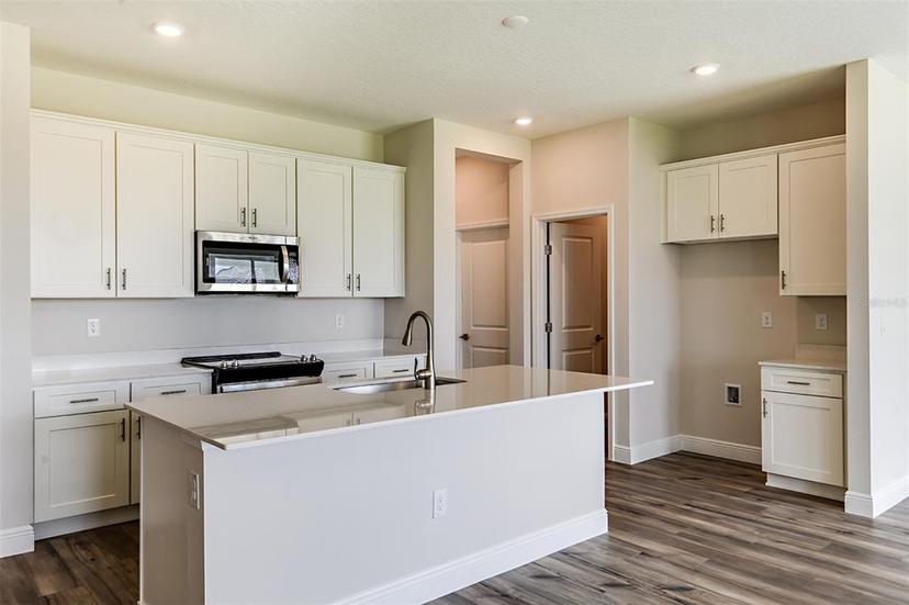Picture of 10304 Surrey Rose Drive, San Antonio FL 33576
