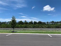 Picture of 2436 Cedar Rose Street, Apopka, FL 32712