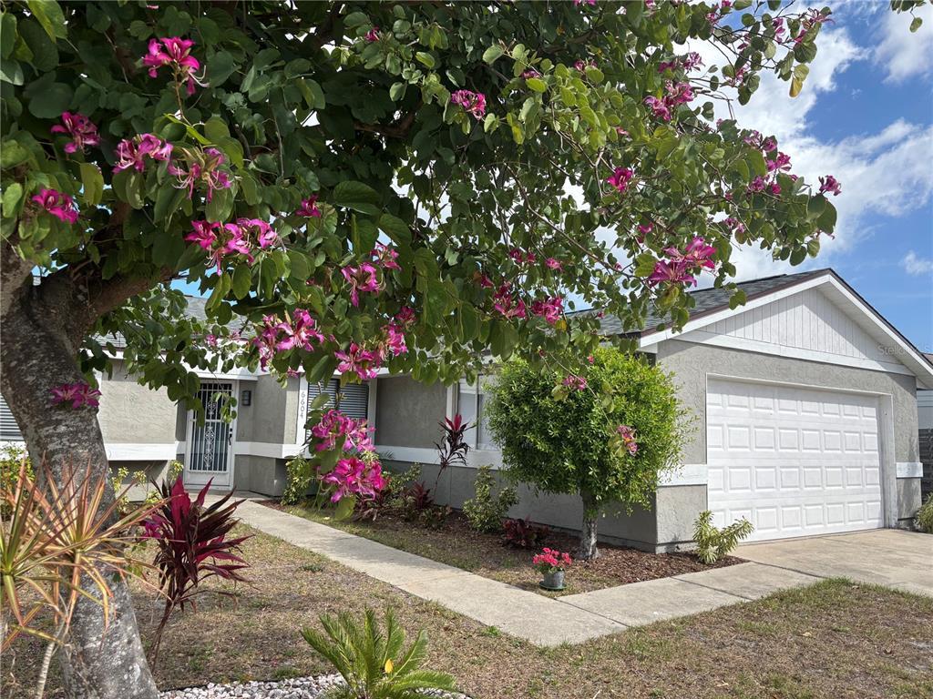 Picture of 6604 34Th Avenue W, Bradenton, FL 34209