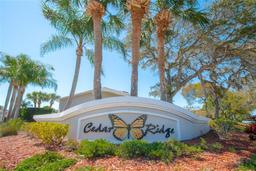 Picture of 400 Sweet Magnolia Court, St Augustine, FL 32080