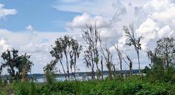 Picture of 3980 SE 183Rd Avenue Road, Ocklawaha, FL 32179