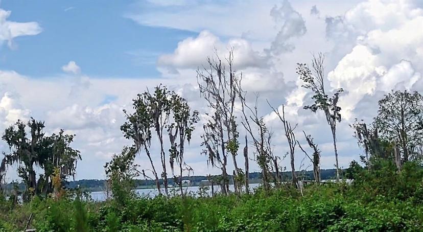 Picture of 3980 SE 183Rd Avenue Road, Ocklawaha FL 32179