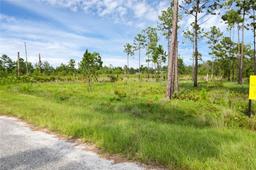 Picture of 30808 Apricot Avenue, Eustis, FL 32736